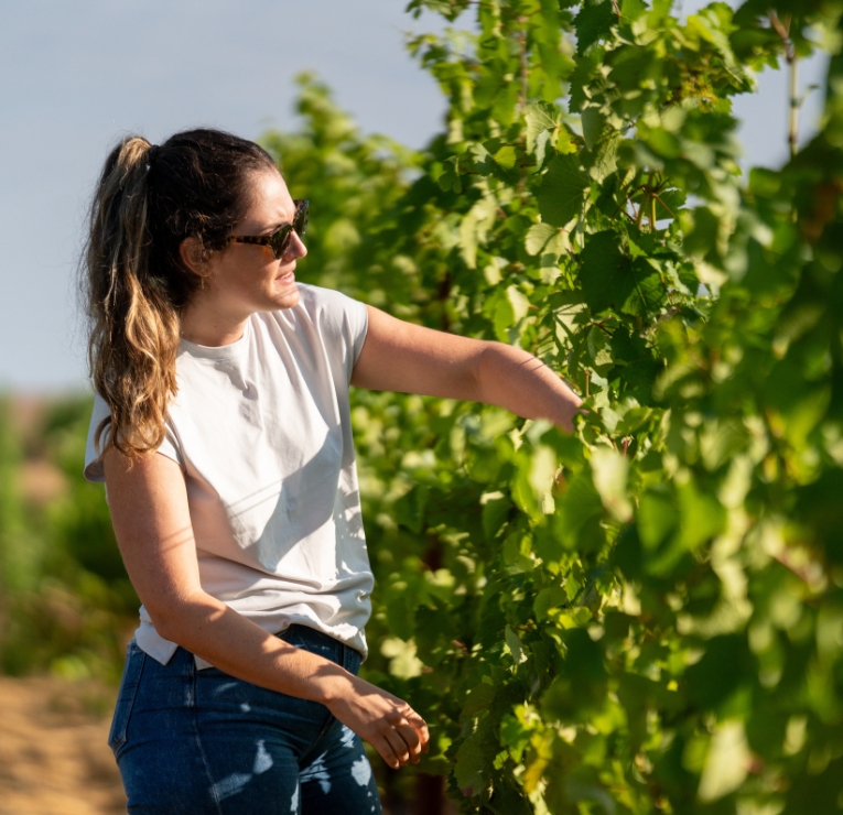 Red Barn's winemaker Kaylee Barss inspecting vines in the vineyard